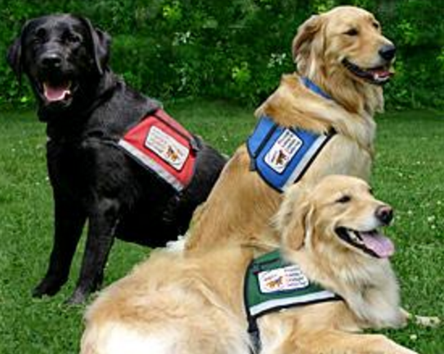 10-17-16 state of washington law on assistance animals.png