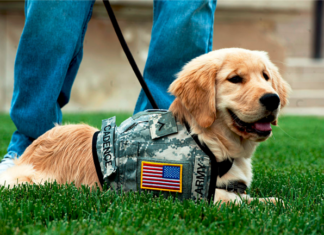 HUD Charges Utah Landlord With Discrimination Over Pet Policy