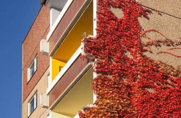 10 Rental Property Maintenance Items To Check This Fall