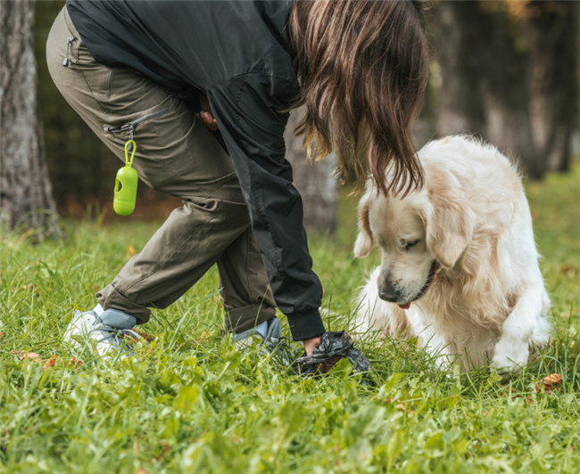 7-23-19 pet dna testing pet poop update How Pet Poop Testing Fixes Your Apartment Poop Problem