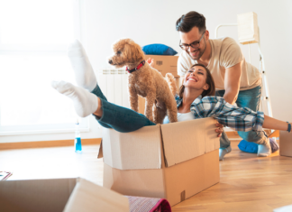 Colorado Gov Signs Critical Pet-Inclusive Housing Bill into Law Colorado Governor Jared Polis signed H.B.25-1207, a pet-inclusive housing bill removing barriers to housing for pet owners