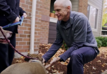 Most renters now have a pet, and new Zillow data shows pet-friendly rental listings are typically leased more than a week sooner than others.