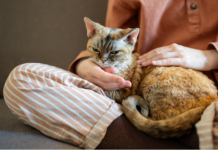 Landlords To Pay $20,000 In Emotional Support Animal Case Two Wisconsin landlords will pay $20,000 to settle an emotional support animal case that that accused them of discriminating against tenants