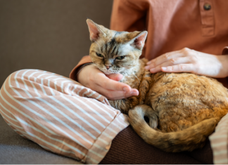 Landlords To Pay $20,000 In Emotional Support Animal Case Two Wisconsin landlords will pay $20,000 to settle an emotional support animal case that that accused them of discriminating against tenants