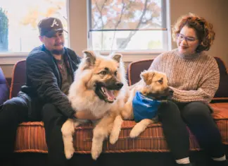 LA Supervisors To Consider Pet-Inclusive Housing Ordinance Los Angeles County Supervisors are planning to consider a pet-including housing ordinance with critical housing stability implications.